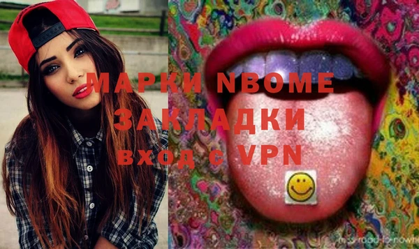 прущие грибы Вязьма