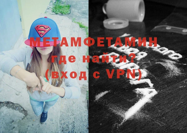 прущие грибы Вязьма