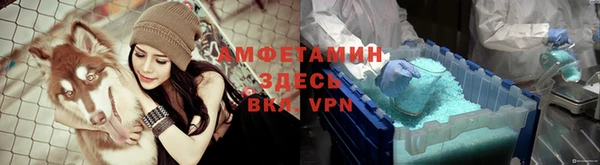 прущие грибы Вязьма