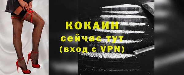 PSILOCYBIN Ладушкин