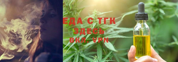 прущие грибы Вязьма