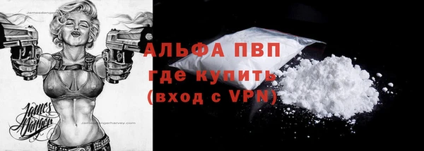 прущие грибы Вязьма