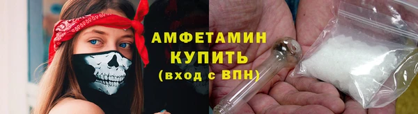 прущие грибы Вязьма