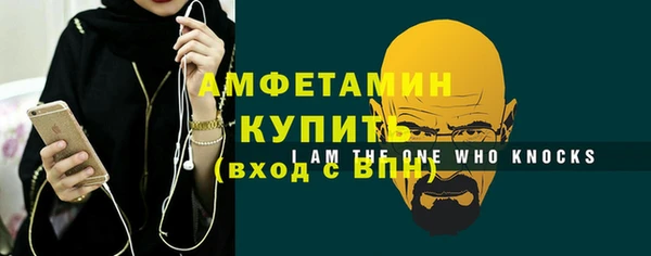 прущие грибы Вязьма