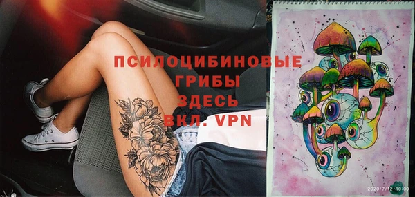 твердый Вязники