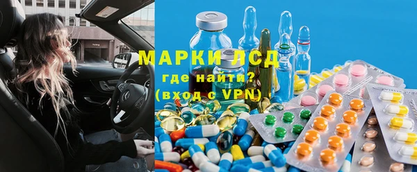 прущие грибы Вязьма