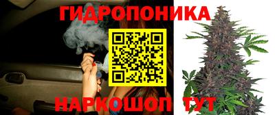 mix Заводоуковск