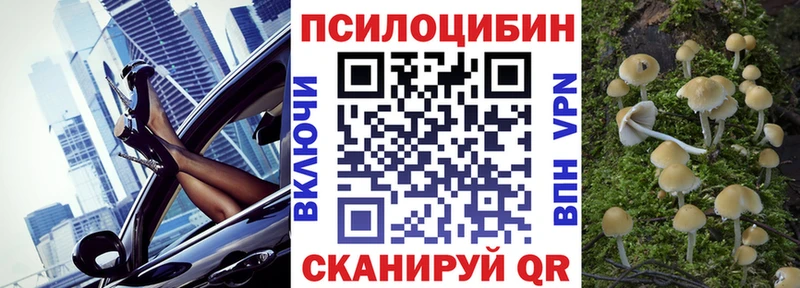 где найти наркотики  Наро-Фоминск  Псилоцибиновые грибы прущие грибы 