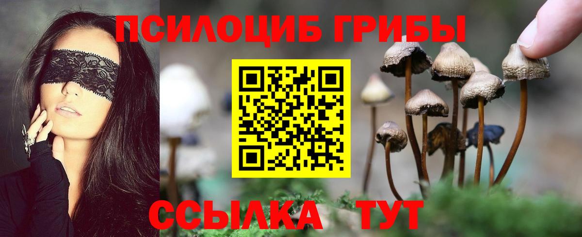 Галлюциногенные грибы Psilocybine cubensis Наро-Фоминск